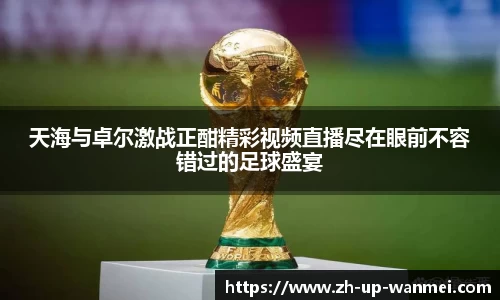 天海与卓尔激战正酣精彩视频直播尽在眼前不容错过的足球盛宴
